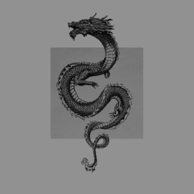 Halftone Dragon boi Design